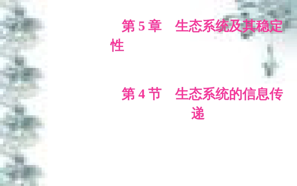 高中政治 第一单元 生活智慧与时代精神 第一课 第一框 生活处处有哲学课件 新人教版必修4 (5)_第2页