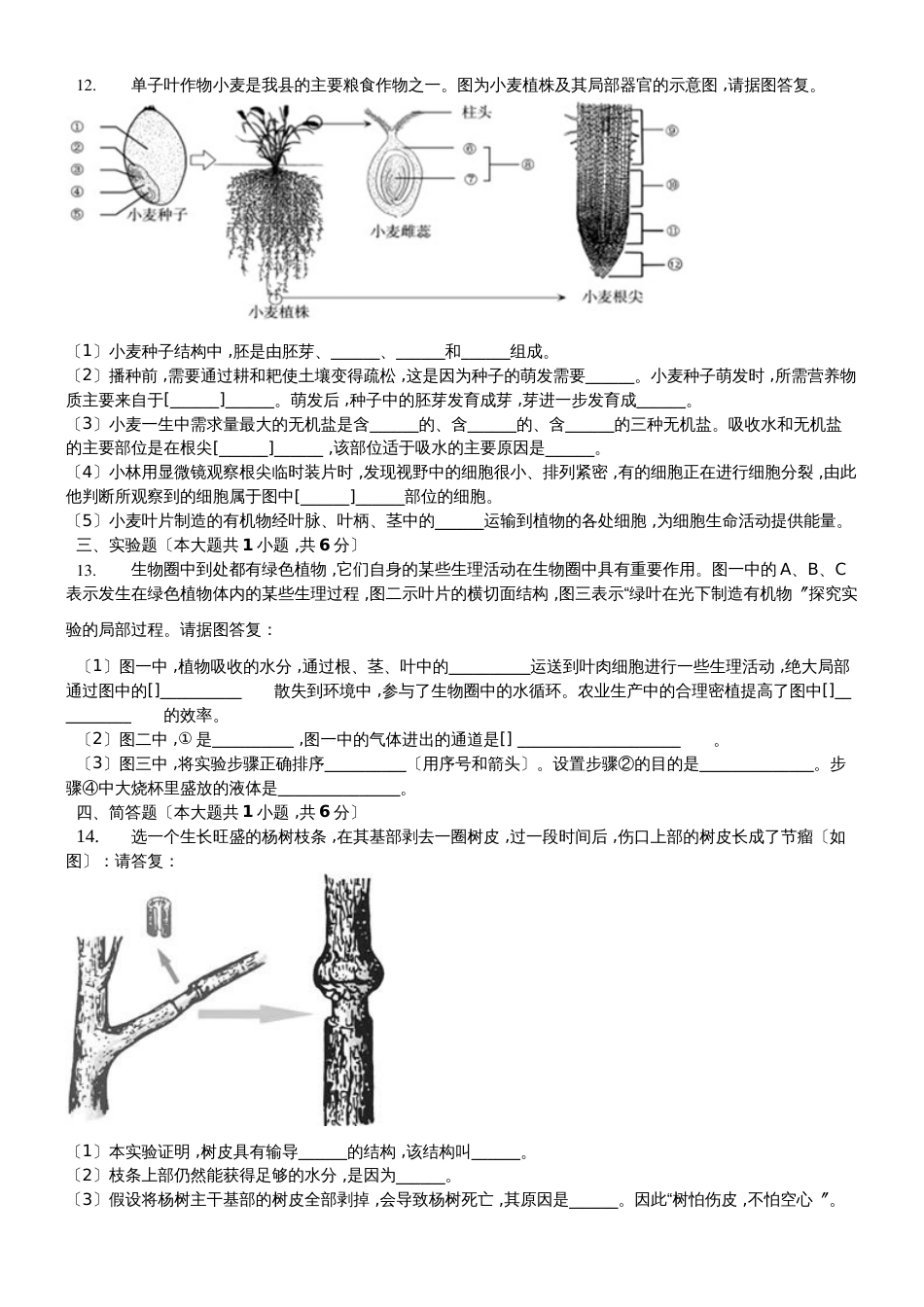 济南版八年级上册《4.1.6芽的类型和发育》测试（含答案）_第2页