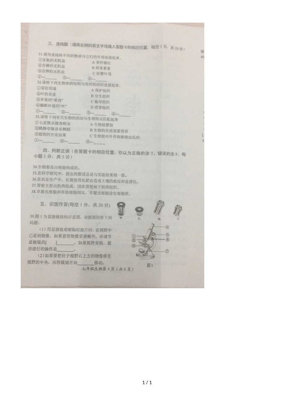 河南省洛阳市第一学期期中智学大联考 七年级生物试卷 （图片版，）_第1页