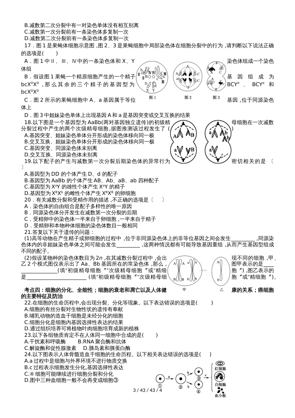 广东省肇庆市蓝精灵中学高中生物1轮专题复习跟进落实   专题二  细胞的生命历程无答案_第3页