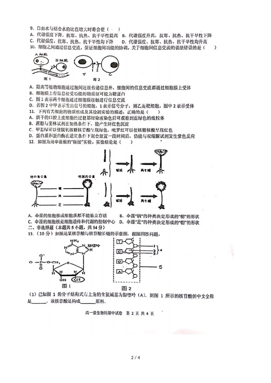 广东省揭阳市第三中学揭阳产业园高一生物上学期期中试题（，）_第2页