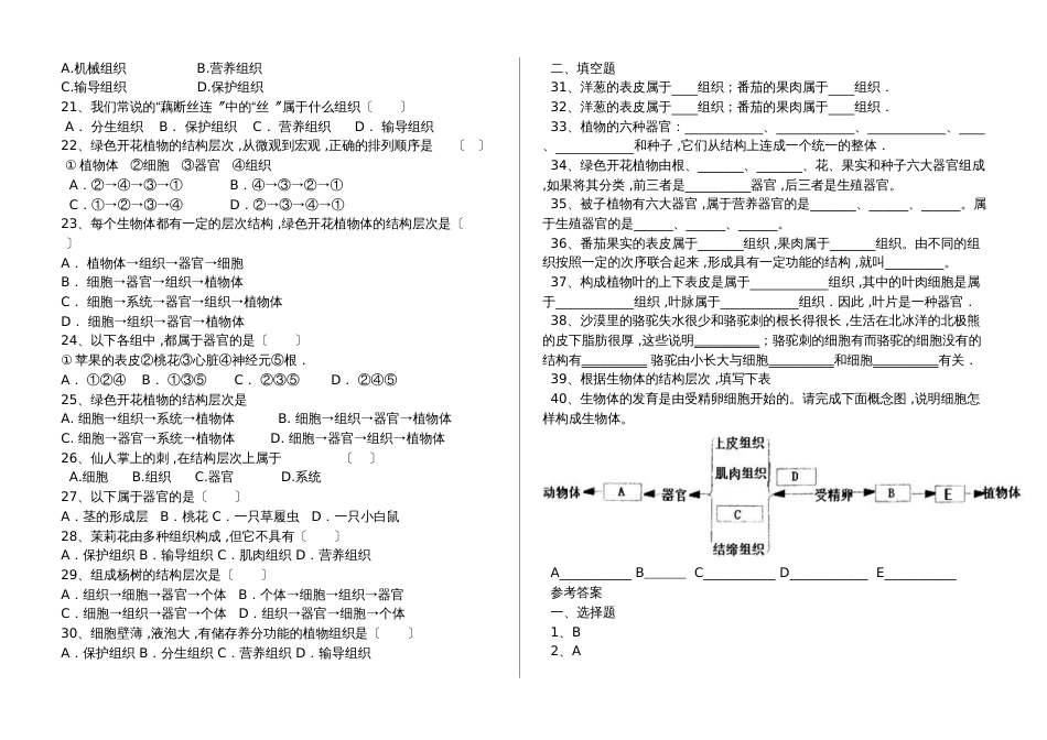 湖北省丹江口市七年级生物上册：植物体的层次结构专题训练试题（含答案）_第2页