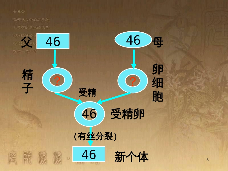 高中政治 1.2 关于世界观的学说课件 新人教版必修4 (3)_第3页