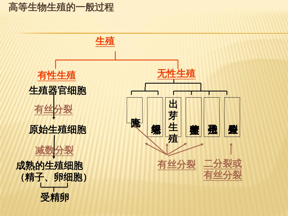 DNA是主要的遗传物质教学课件[共30页]_第1页