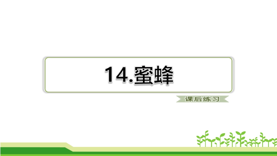 【最新】部编版语文三年级下册习题14.蜜蜂课后练习优质课件._第1页