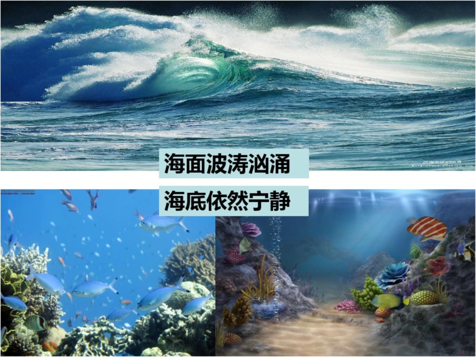 《海底世界》第二课时[共32页]_第3页