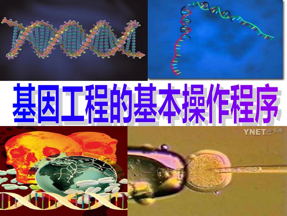 1.2《基因工程的基本操作程序》ppt新人教版选修3_第1页