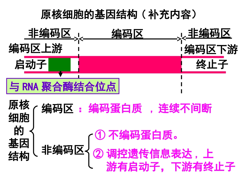 1.2《基因工程的基本操作程序》ppt新人教版选修3_第2页