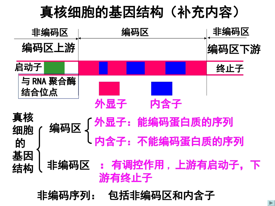 1.2《基因工程的基本操作程序》ppt新人教版选修3_第3页