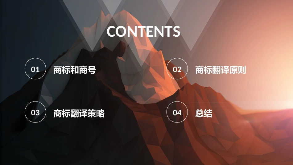 商标翻译策略[共17页]_第2页