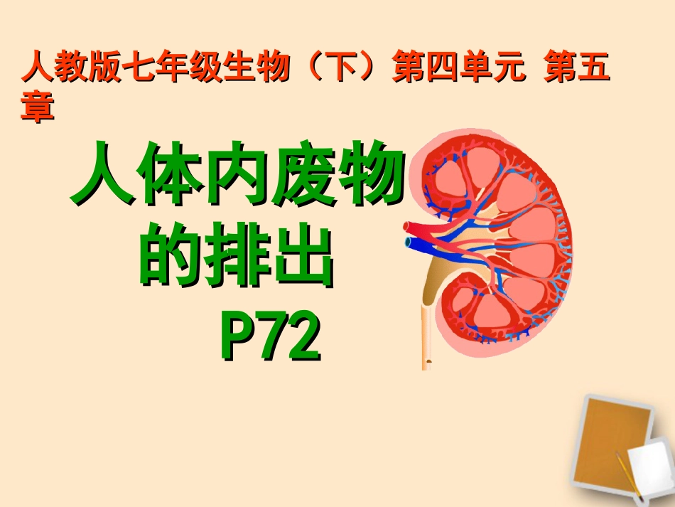 七年级生物下册《第五章人体内废物的排出》_第1页