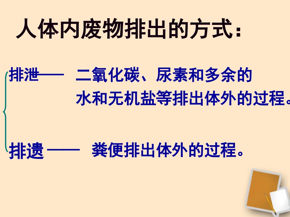 七年级生物下册《第五章人体内废物的排出》_第3页