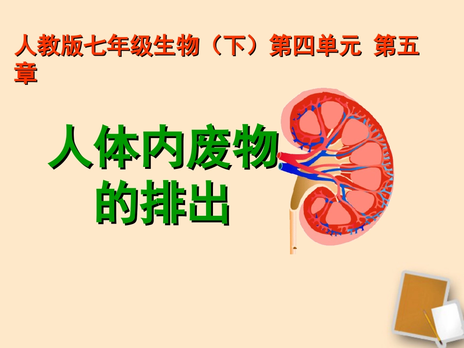 七年级生物下册《第五章人体内废物的排出》课件人教新课标版_第1页