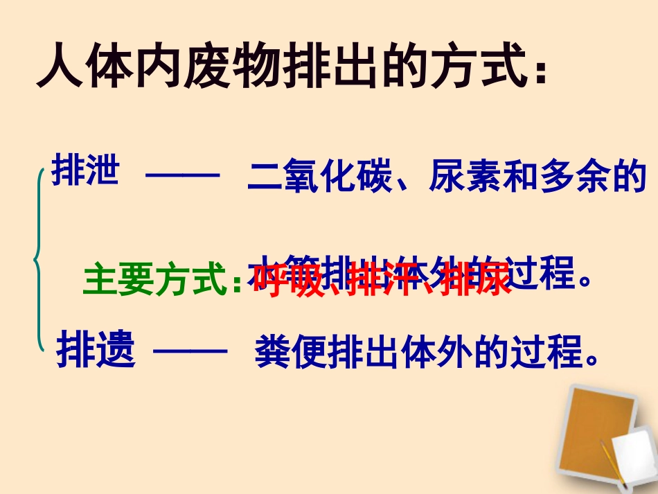 七年级生物下册《第五章人体内废物的排出》课件人教新课标版_第3页