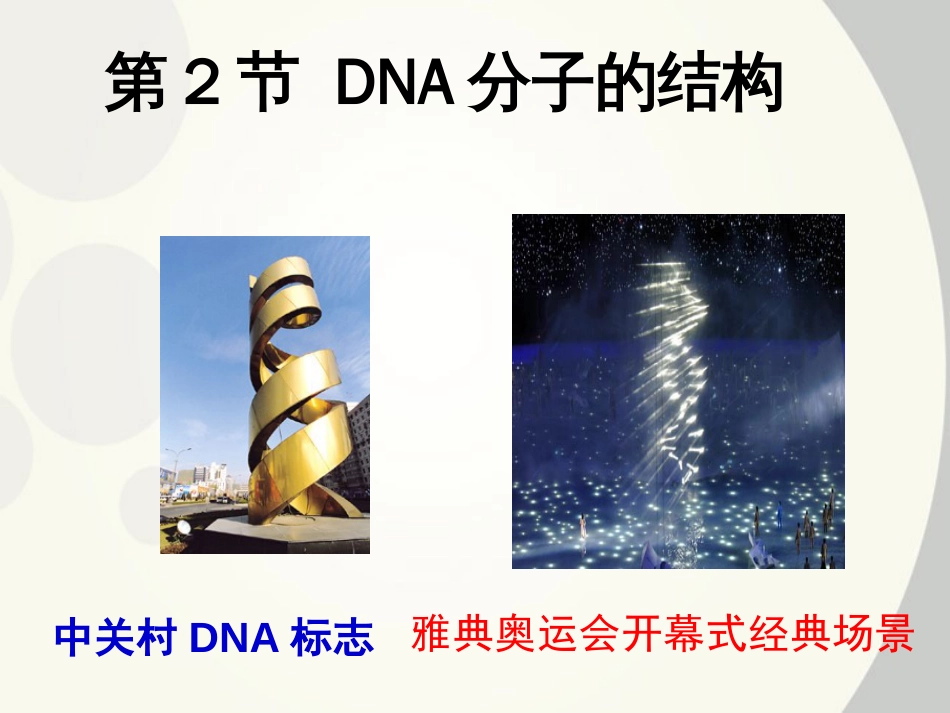 DNA分子的结构课件示范课_第1页