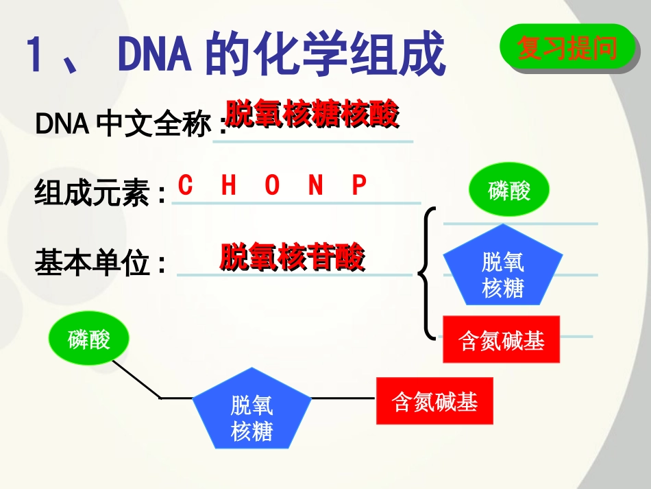 DNA分子的结构课件示范课_第3页