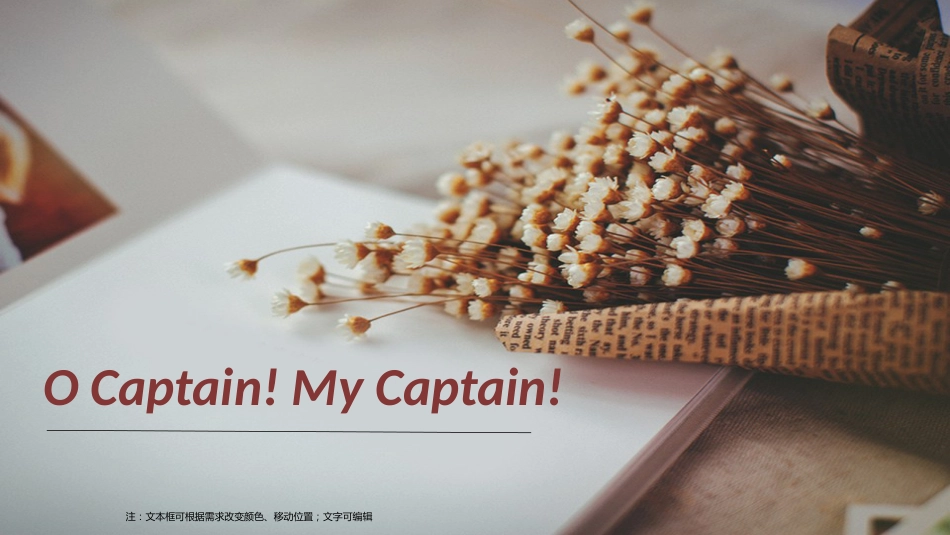 o captain my captain文体学分析[共15页]_第1页