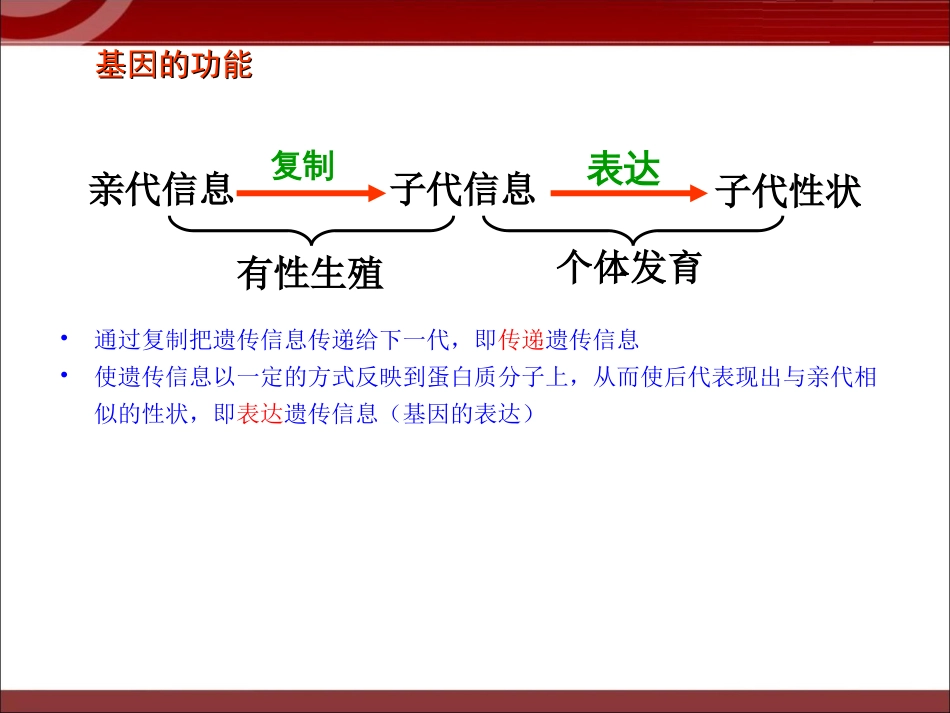 《基因对性状的控制》课件[共14页]_第3页