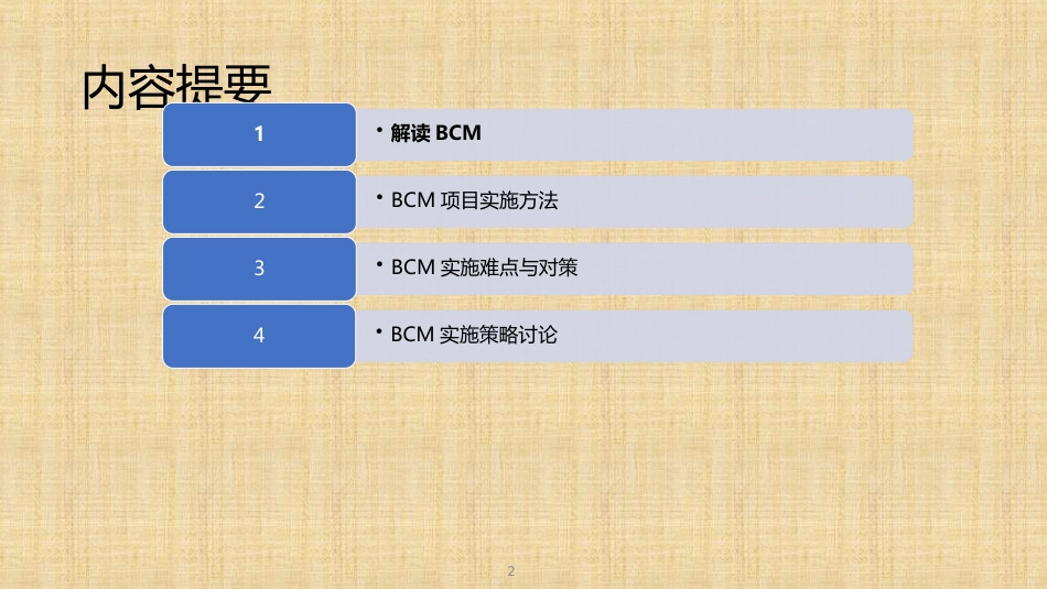 BCM实施指南[共31页]_第2页