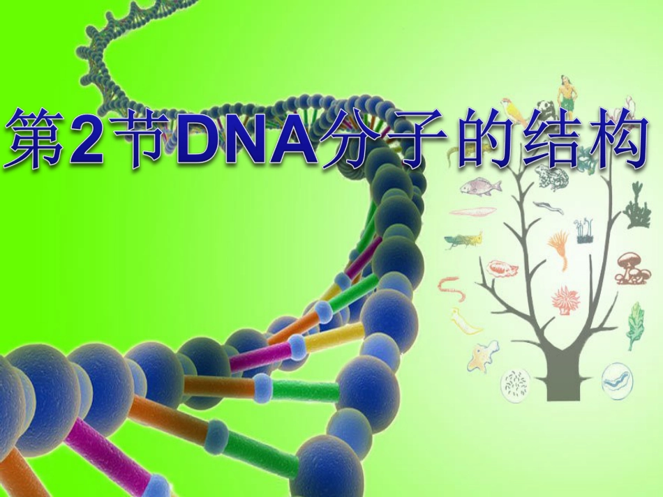 DNA分子的结构优质课课件[共68页]_第1页