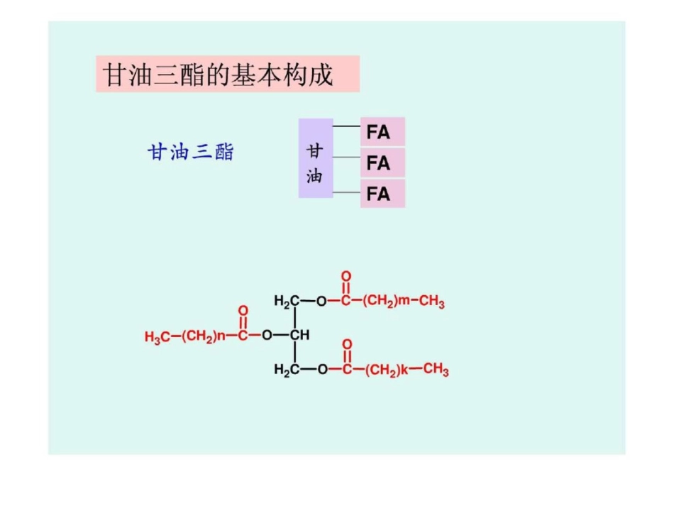 甘油三酯演示文稿.ppt文档资料_第2页