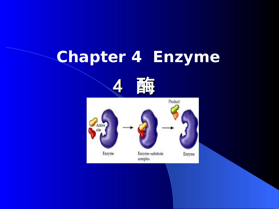 Chapter4Enzyme第四章酶[共58页]_第1页