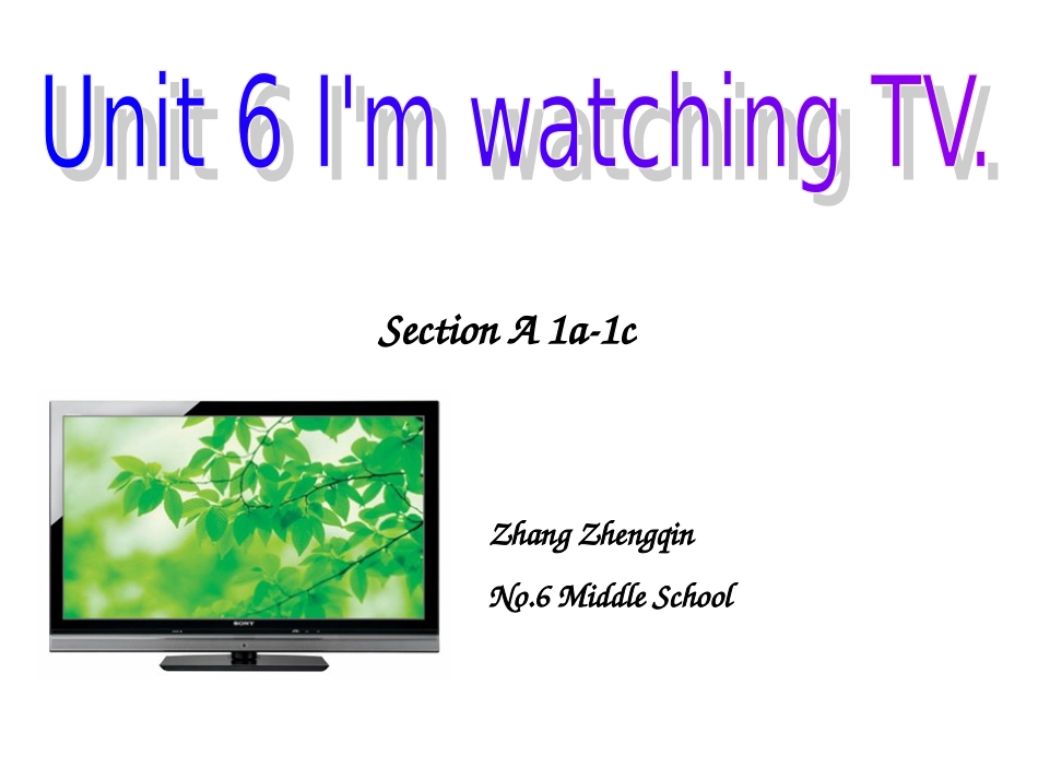 《Unit6I'mwatchingTV》SectionA1a1c[共25页]_第2页