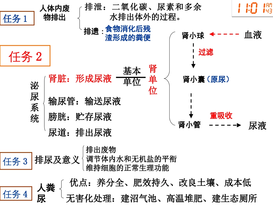 七年级下册《人体内废物的排出》_第2页