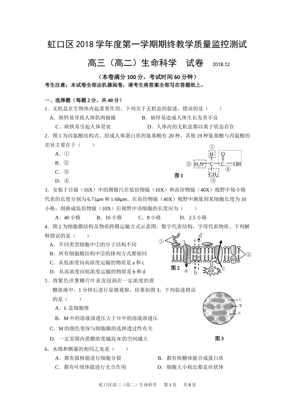 2019虹口生物一模有答案_第1页