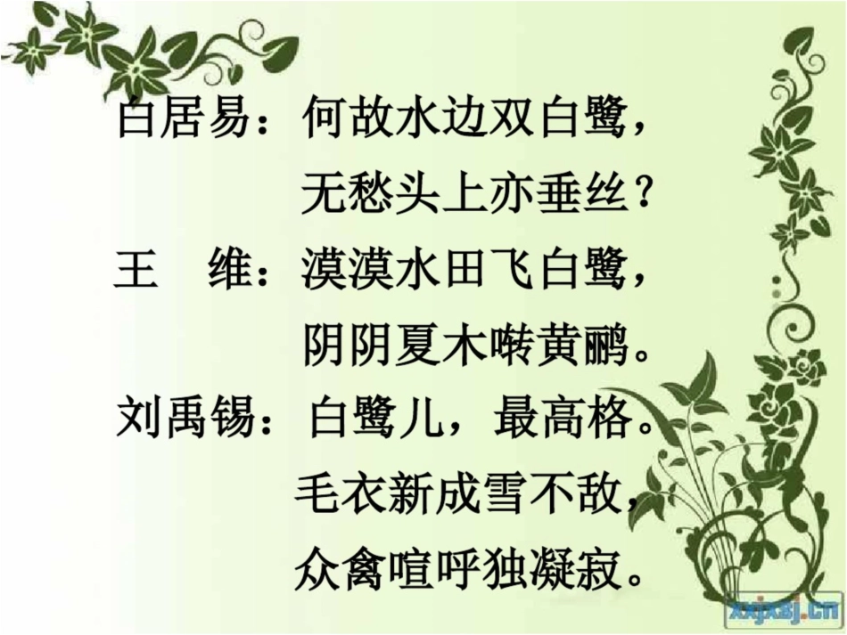 《白鹭》课件[共18页]_第3页