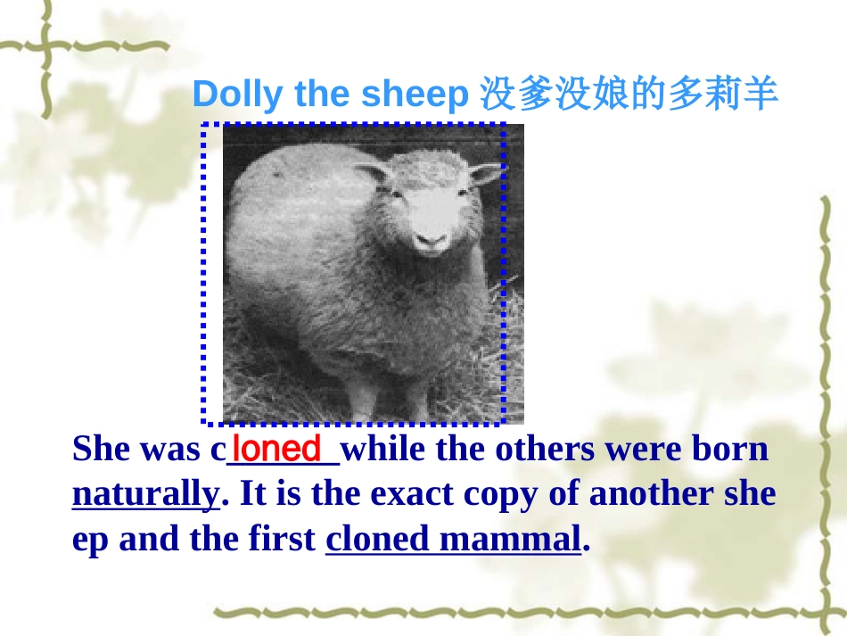 人教版选修8unit2cloningreading公开课课件_第2页