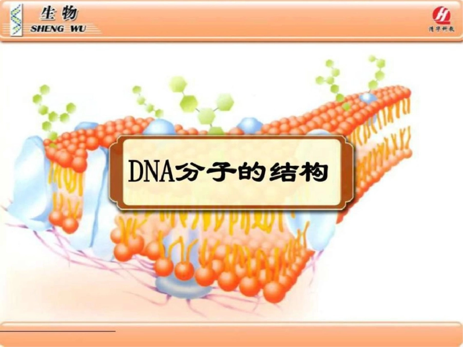 甘肃省会宁县第四中学高中生物必修二课件3.2dna分子的...文档资料_第1页