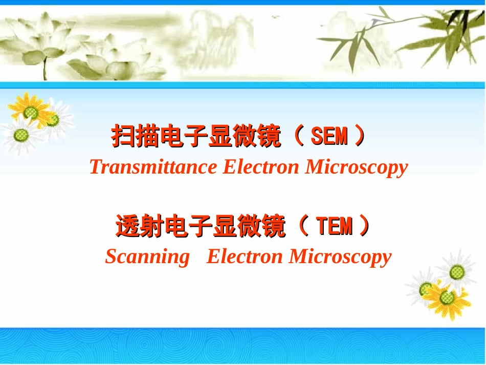 仪器分析SEM,TEM[共65页]_第1页