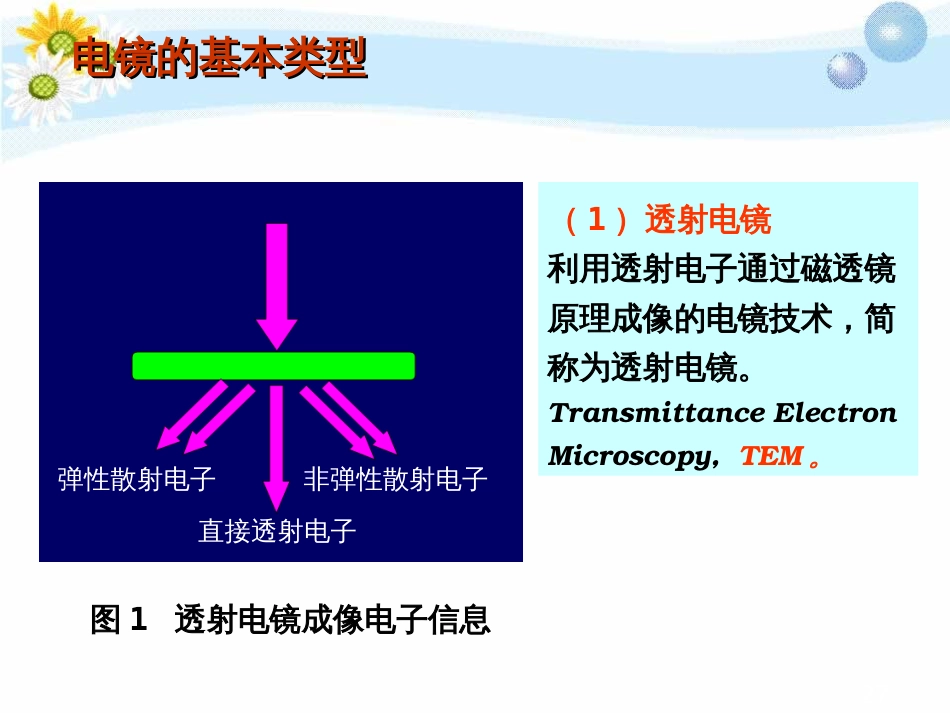 仪器分析SEM,TEM[共65页]_第3页