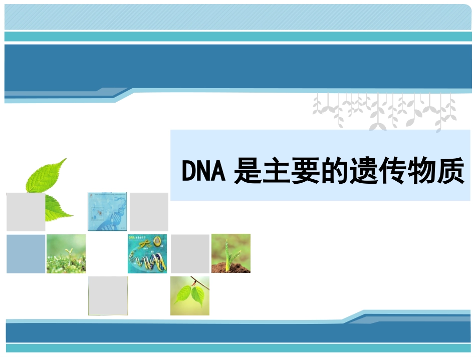 DNA是主要的遗传物质优质课_第1页