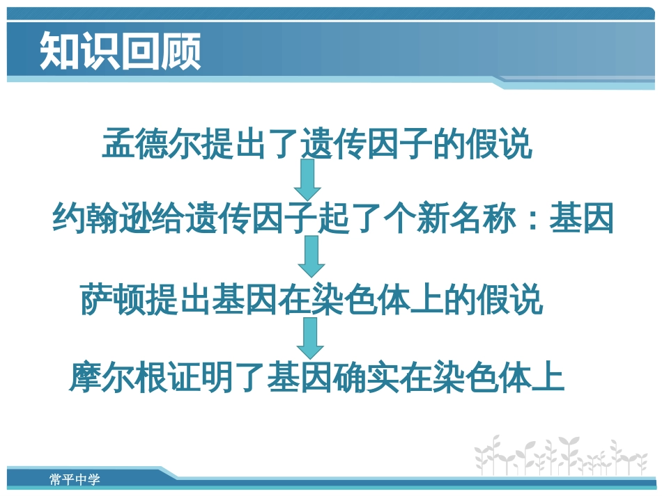 DNA是主要的遗传物质优质课_第2页