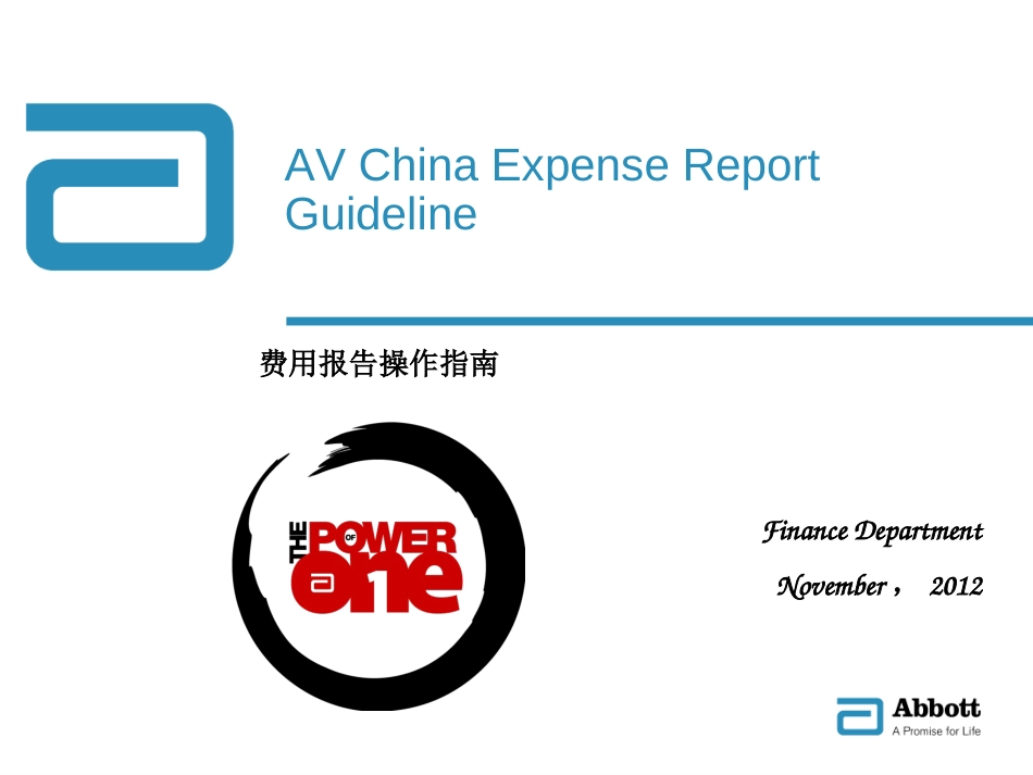 AV China Expense Report Guideline（中国费用报告指南）_第1页