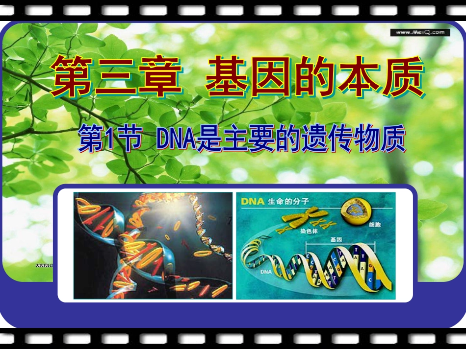 DNA是主要的遗传物质PPT上课用[共37页]_第1页