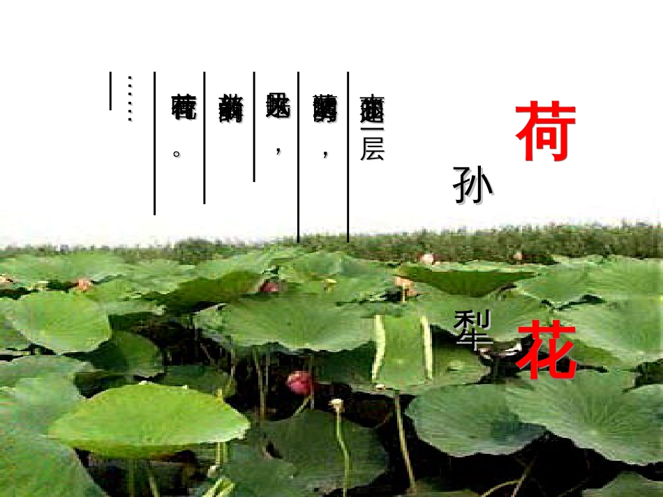 《荷花淀》优秀课件[共46页]_第2页