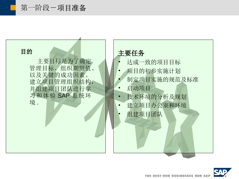 SAP实施方法论[共41页]_第3页