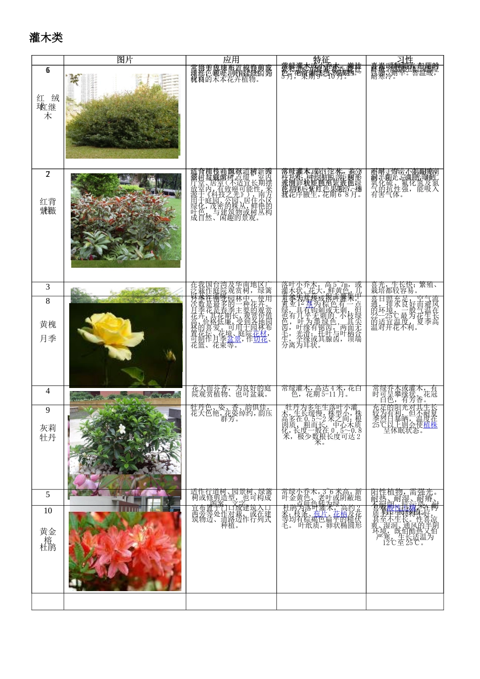 60种植物整理灌木类_第1页