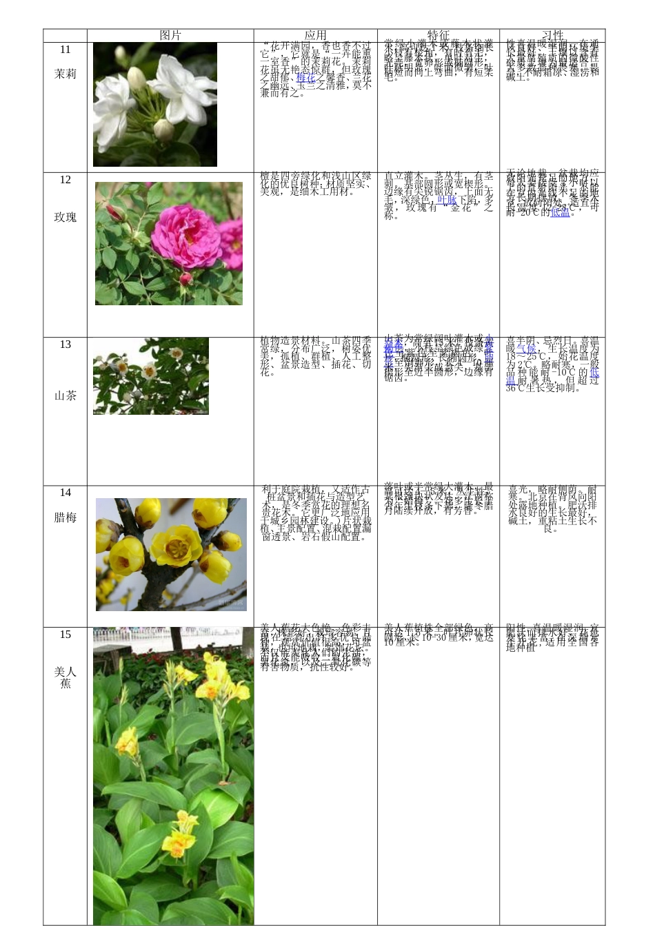 60种植物整理灌木类_第3页