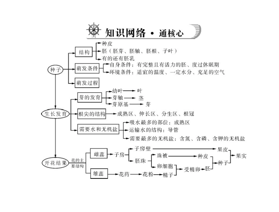 《中考风向标》中考生物复习课件：被子植物的一生[共23页]_第3页