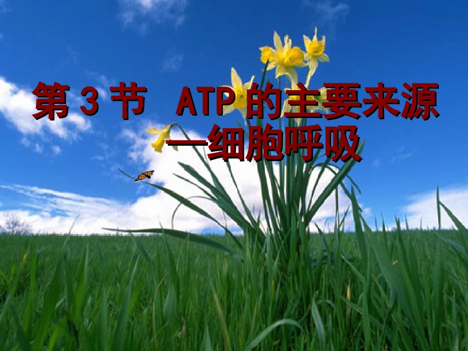 ATP的主要来源—细胞呼吸[共18页]_第1页