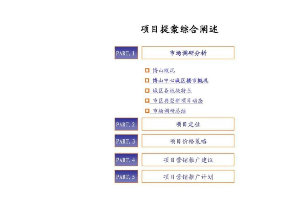淄博市博山万杰领域项目前期策划报告文档资料_第2页