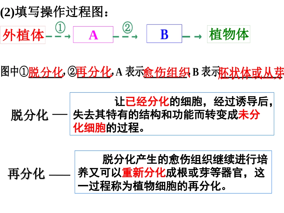 2018一轮复习细胞工程专题[共34页]_第3页