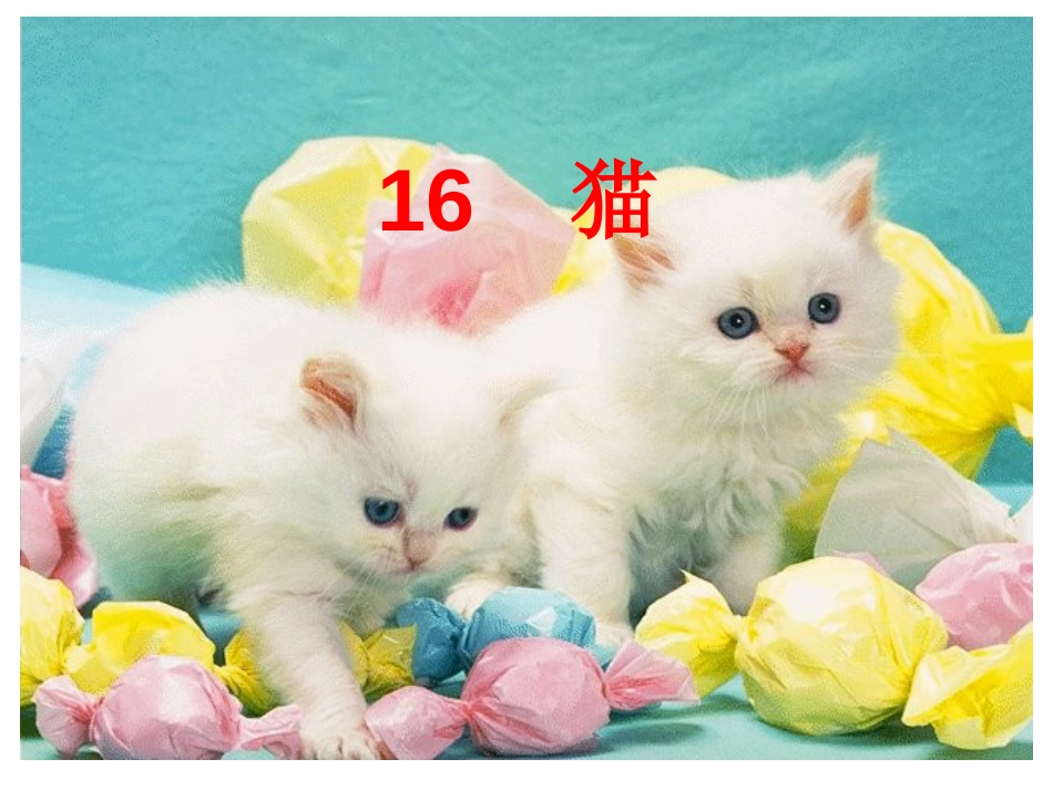 《猫》课文解读[共24页]_第1页