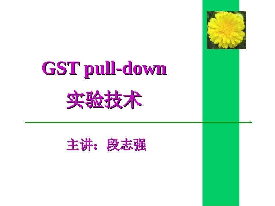 GSTpulldown实验技术[共22页]_第1页