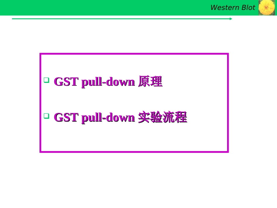 GSTpulldown实验技术[共22页]_第2页