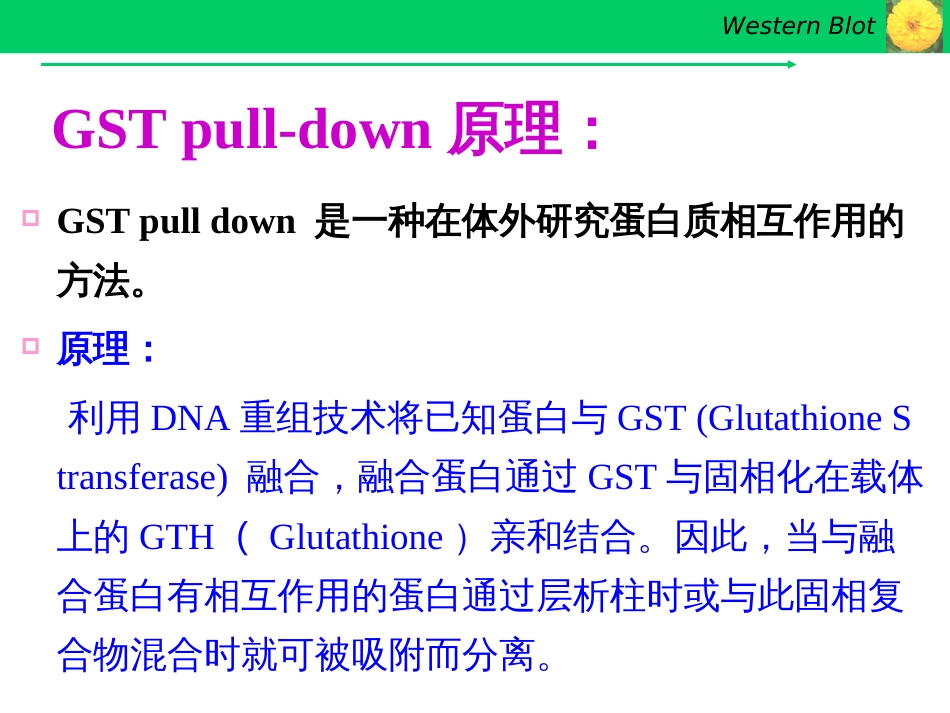 GSTpulldown实验技术[共22页]_第3页